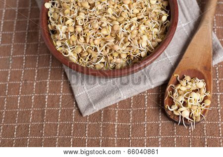 Lentil Sprouds