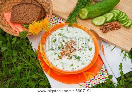 Tarator, cold sour milk soup in an orange bowl