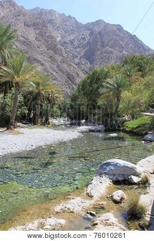 Warm Springs Of Ain A'thawwarah