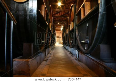 Botti in una cantina