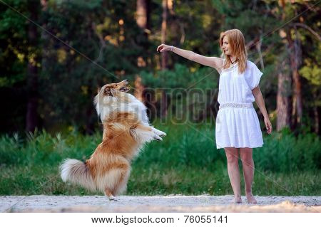 Young beautiful girl in white dress playing with her dog collie on a background of forest