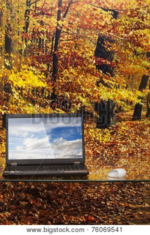 ecological computer