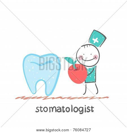 stomatologist    with apple standing near a large tooth