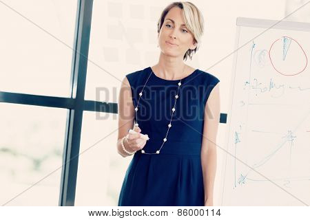 Businesswoman doing a presentaion in front of her collegues
