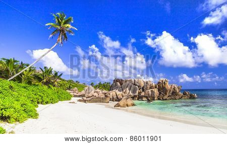 pure tropics - white beaches if Seychelles islands