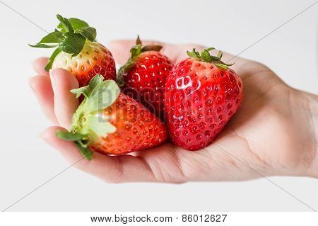 Handful Of Strawberries