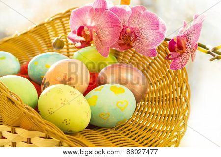 Easter eggs in a basket,  flowering Orchid, close, sunrise