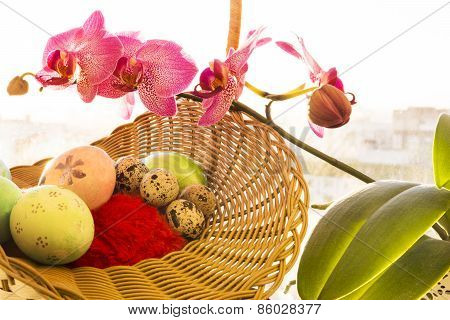 Easter and quail eggs in a wicker basket, Orchid