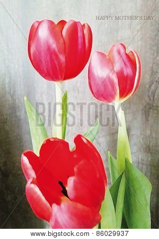 tulips cam 0199