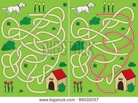 Dog Maze
