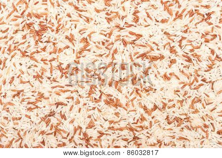 rice background