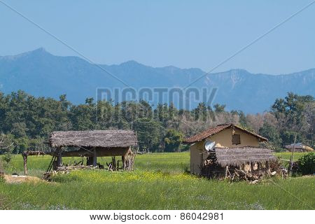 Landscape and traditional village in Terai, at Thakurdwara, Bardia, Nepal