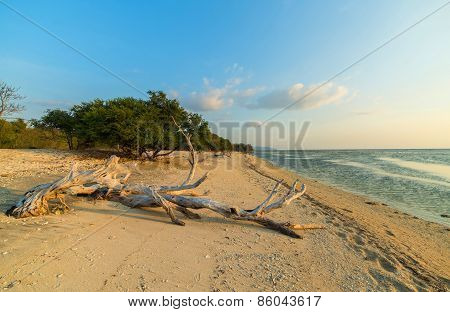Wild beach