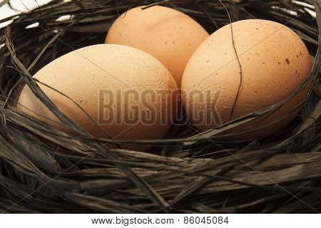 Three Brown Eggs In A Nest