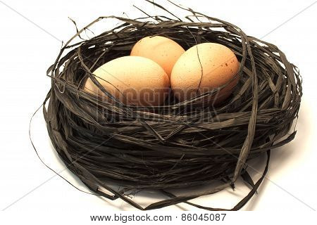 Three Brown Eggs In A Nest