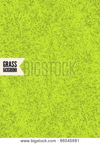 Green grass texture. Vector background.