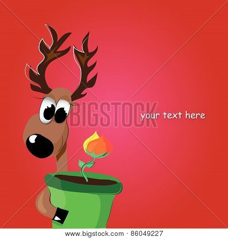 deer