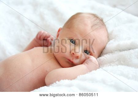 Newborn Baby Resting On White Blankets