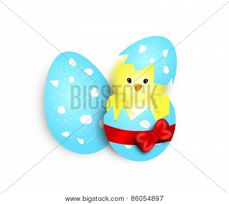 Cute Easter Chicken In Egg