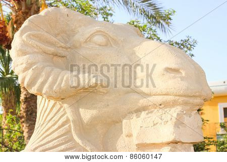 Am-headed Sphinx