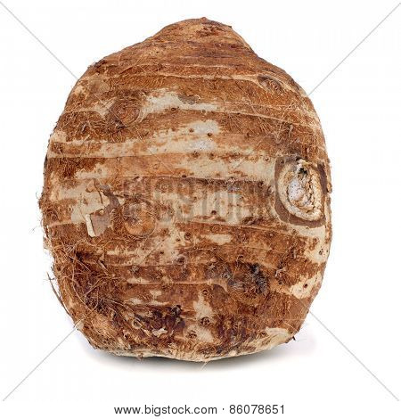 a raw taro corm on a white background