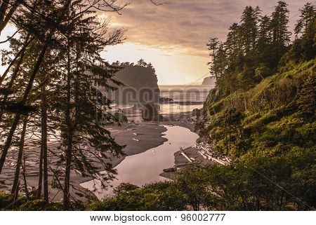 Ruby Beach - Landscape