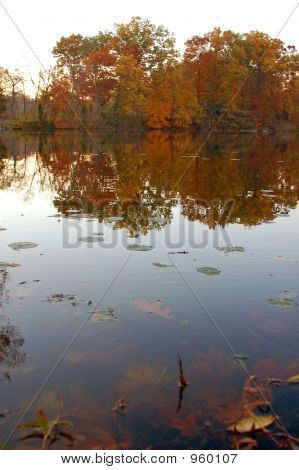 Lake15