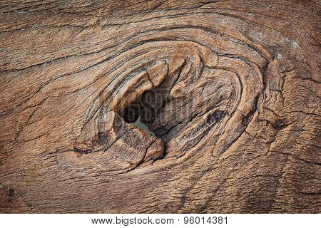 Knar And Old Wood Texture