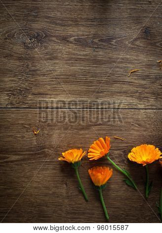 Pot Marigolds or English Marigolds (Calendula officinalis), fresh blossoms on wooden background