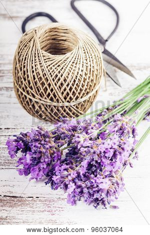 Fresh lavender