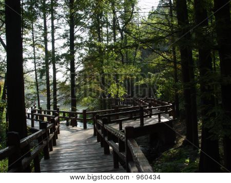 Park 