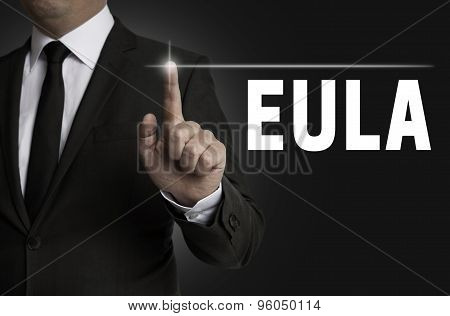 Eula Touchscreen Is Operated By Businessman