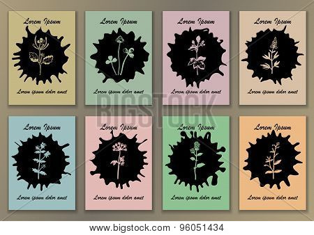 Set  Posters with hand drawn ink herbs and ink-stain