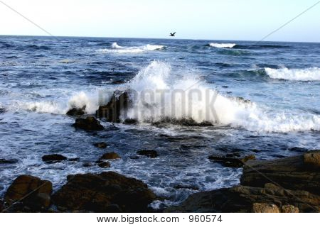 Big Sur Wave