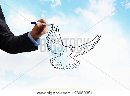 Close up of male hand darwing pigeon on white background