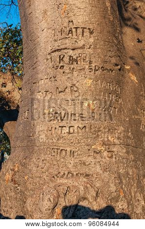 Graffiti On The Ombulantu Baobab Tree