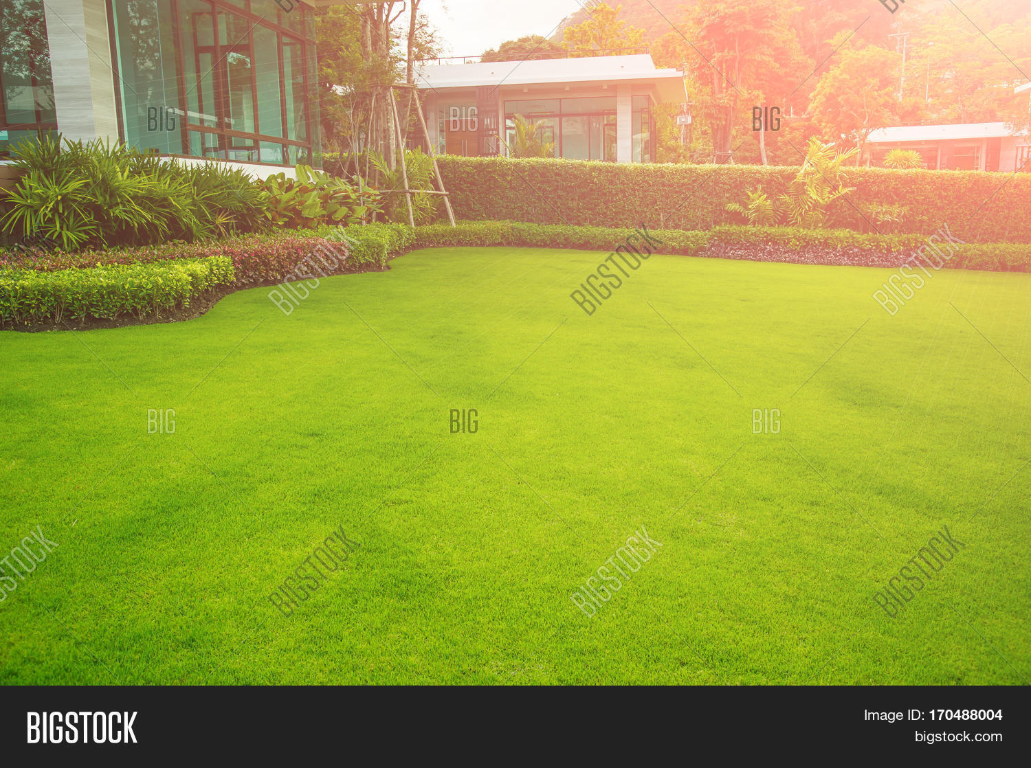 Morning Sun Shining On Image & Photo (Free Trial) | Bigstock