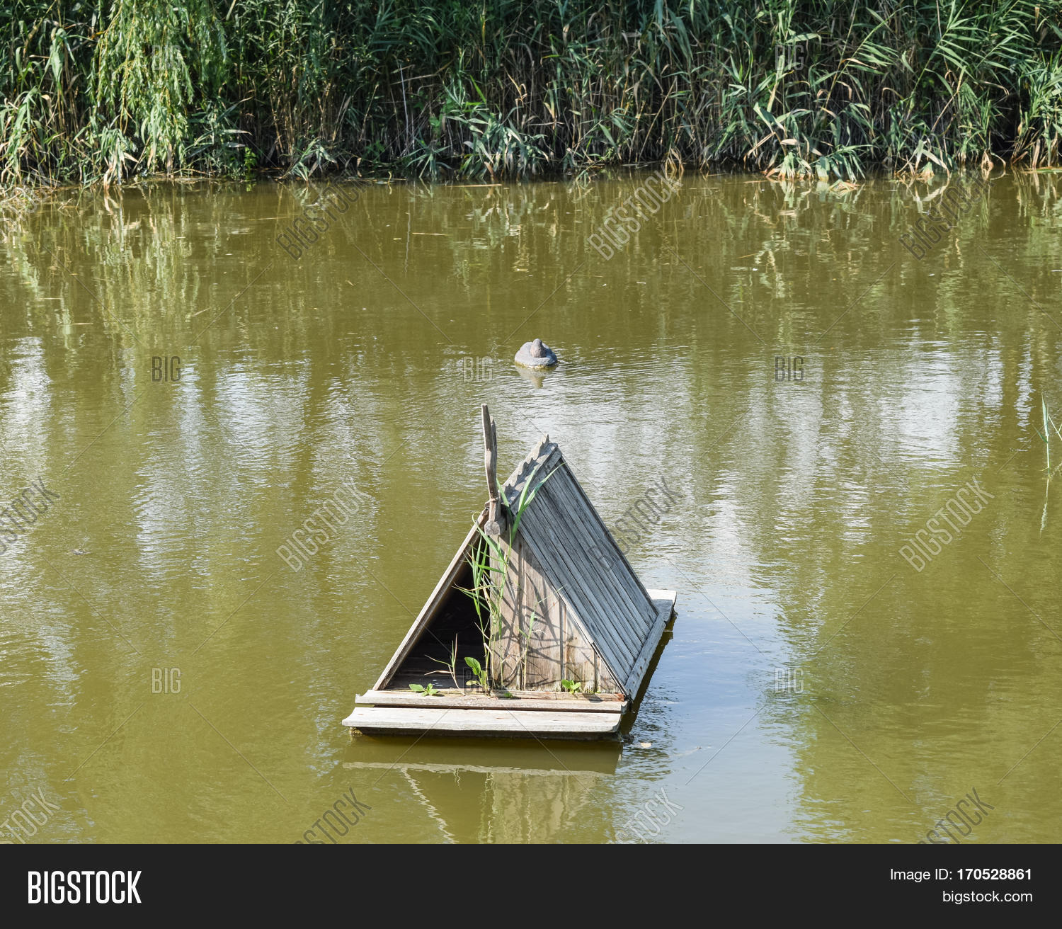 Pond Ducks Artificial Image & Photo (Free Trial) Bigstock