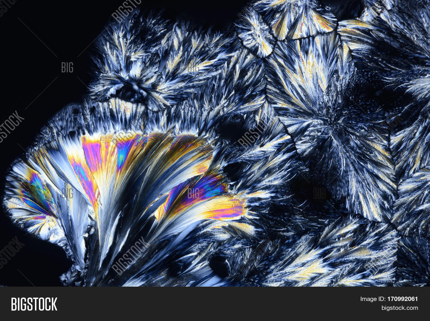 Colorful Micro Image & Photo (Free Trial) | Bigstock