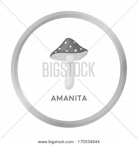 Amanita icon in monochrome style isolated on white background. Mushroom symbol vector illustration.