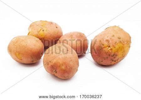 Kuroda potato varieties. Potatoes isolated on white background.