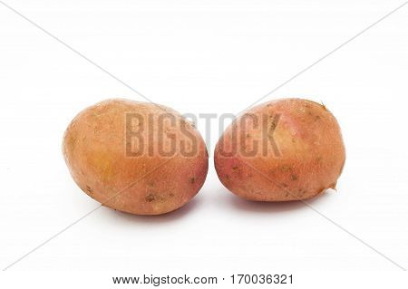 Kuroda potato varieties. Potatoes isolated on white background.