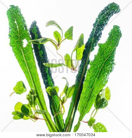 fresh kale and spinach