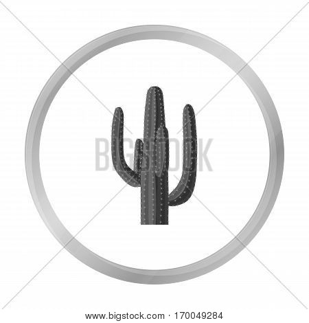 Mexican cactus icon in monochrome style isolated on white background. Mexico country symbol vector illustration.