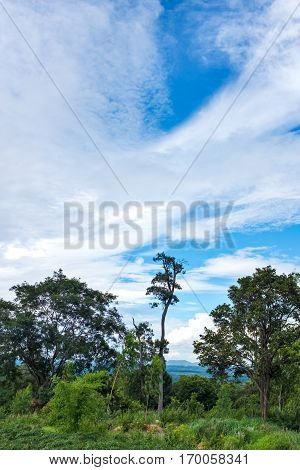 Colorful landscape of beautiful nature against blue sky and cloudy over tranquil nature. Outdoor at the daytime on summer day. Idyllic rural view of pretty surroundings.
