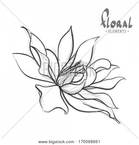 Delicate lotus painted by the artist for you