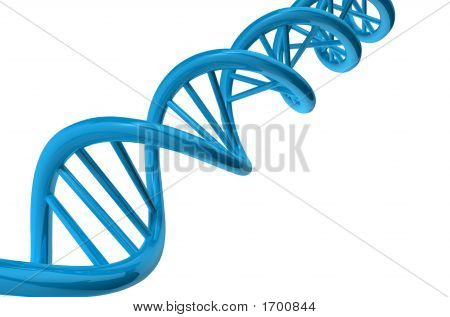 Dna_2