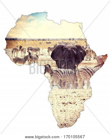 Map Of Africa Continent Concept, Safari On Waterhole With Elephants
