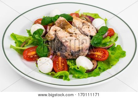 Vegetable salad with fish on plate. Studio Photo