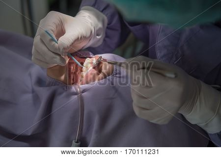 dental teeth patient by the dentist. Dentistry in hospital.
